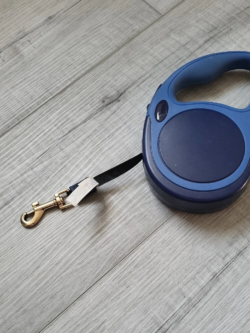 Blue Retractable Dog Leash with Gold Clip